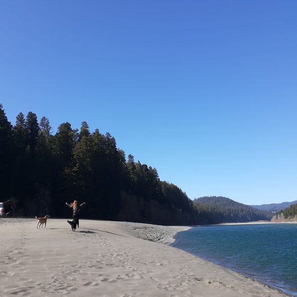 Meet your Posher, Katelyn - Picture 1 of 1